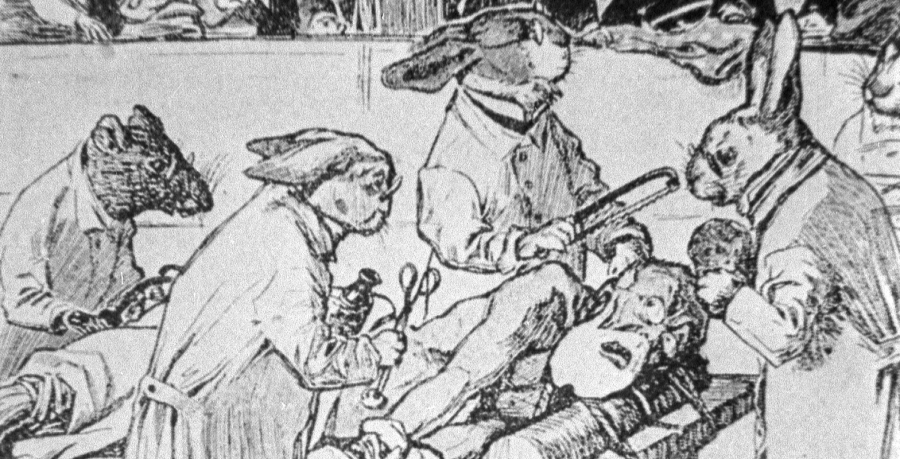 Melnbalta skice ar antropomorfiem dzīvniekiem, kas ietērpti vecmodīgā apģērbā, veicot operāciju pacientam, kas guļ uz galda.
